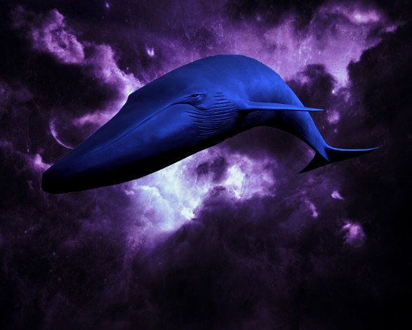 Las Ballenas Voladoras de Takansivlata